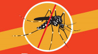 Dengue: One dies, 9 hospitalized